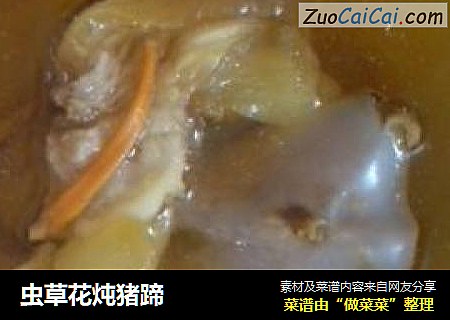 虫草花炖猪蹄