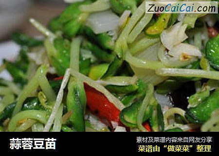 蒜蓉豆苗