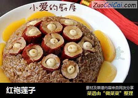红袍莲子