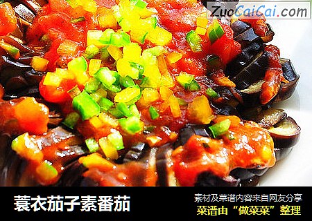 蓑衣茄子素番茄