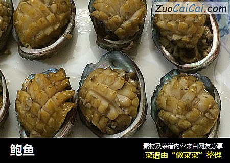 鲍鱼