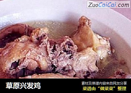 草原兴发鸡