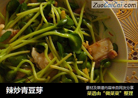 辣炒青豆芽