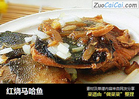 红烧马哈鱼