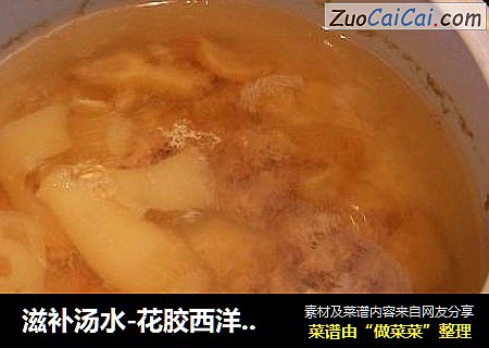 滋补汤水-花胶西洋参炖瘦肉汤