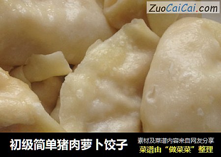 初级简单猪肉萝卜饺子