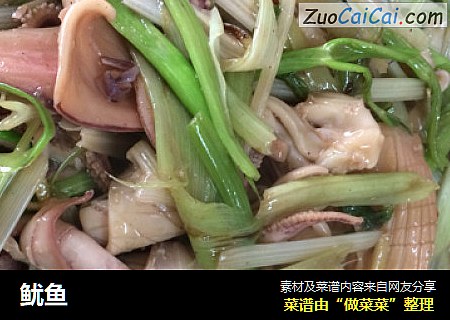 鱿鱼