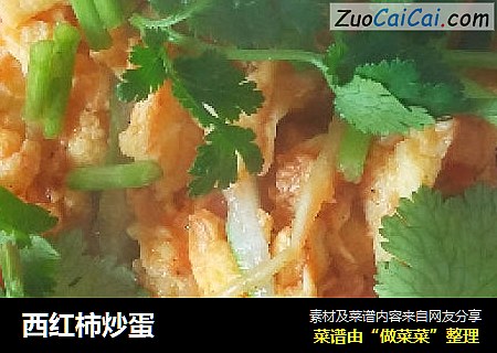 西红柿炒蛋