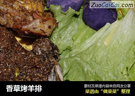 香草烤羊排