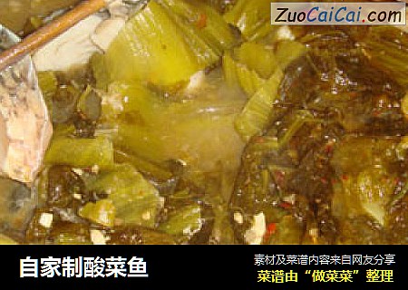 自家制酸菜鱼