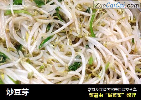 炒豆芽