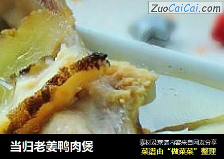 当归老姜鸭肉煲