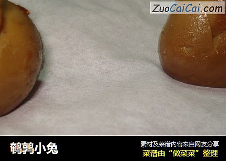 鹌鹑小兔
