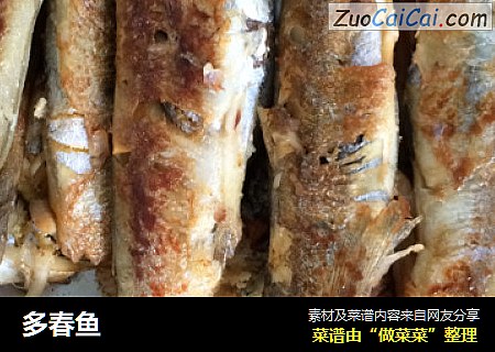 多春鱼