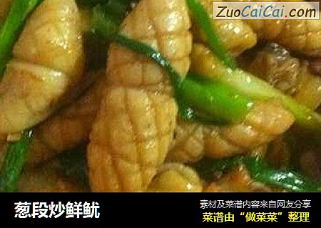 葱段炒鲜鱿