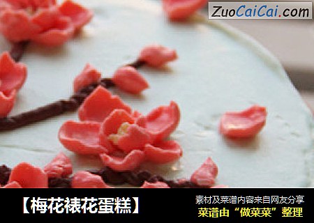 【梅花裱花蛋糕】