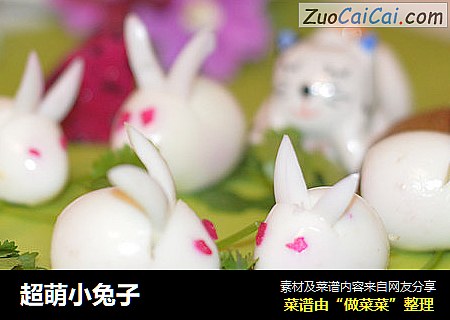 超萌小兔子