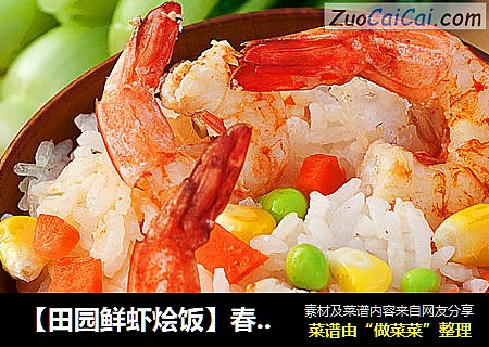 【田园鲜虾烩饭】春日清新懒人饭