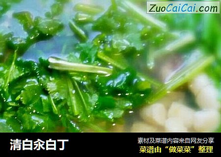 清白汆白丁