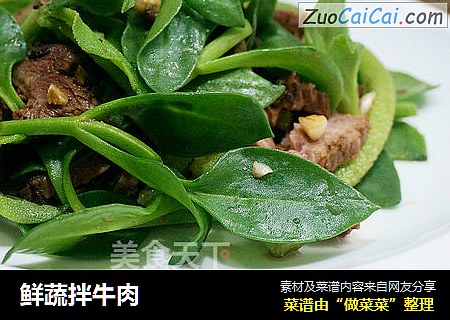 鲜蔬拌牛肉