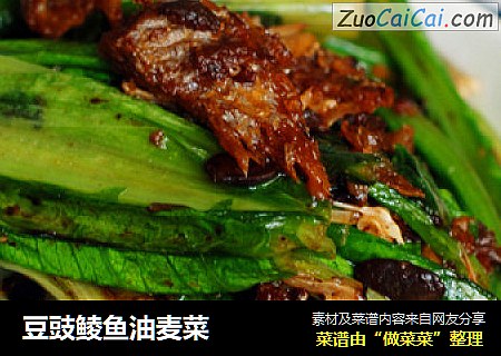 豆豉鲮鱼油麦菜