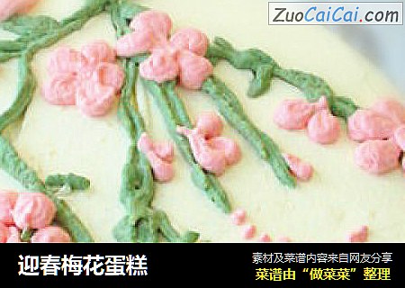 迎春梅花蛋糕