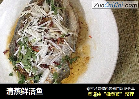 清蒸鲜活鱼