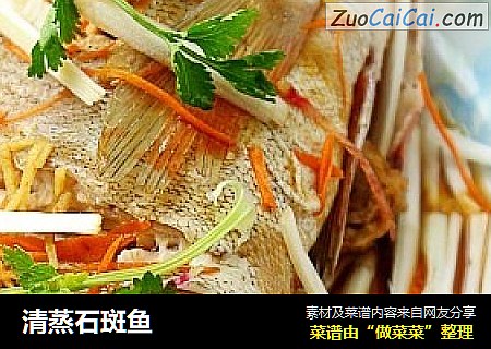 清蒸石斑鱼