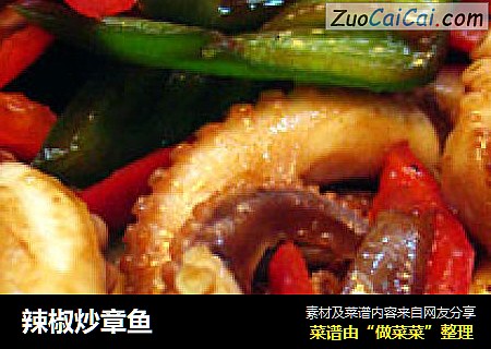 辣椒炒章鱼