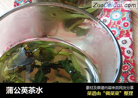 蒲公英茶水