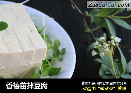 香椿苗拌豆腐