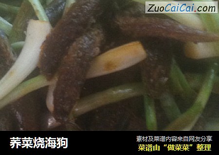荞菜烧海狗