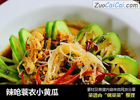 辣呛蓑衣小黄瓜