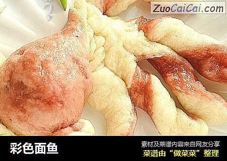 彩色面鱼