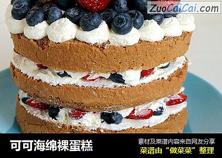 可可海绵裸蛋糕