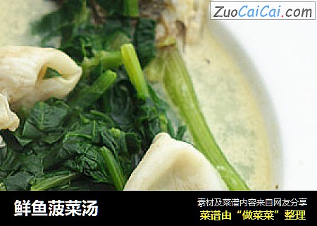 鲜鱼菠菜汤