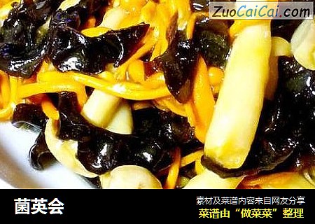 菌英会