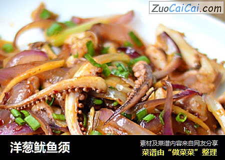 洋葱鱿鱼须
