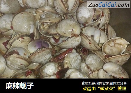 麻辣蚬子