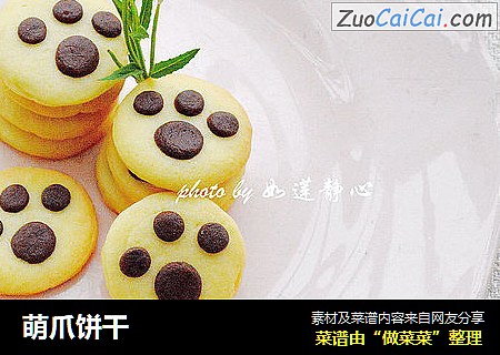 萌爪饼干