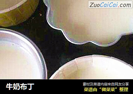 牛奶布丁