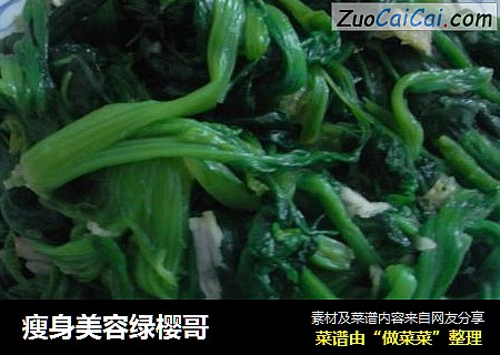 瘦身美容绿樱哥