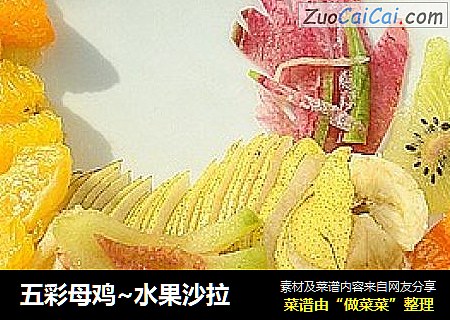 五彩母鸡~水果沙拉