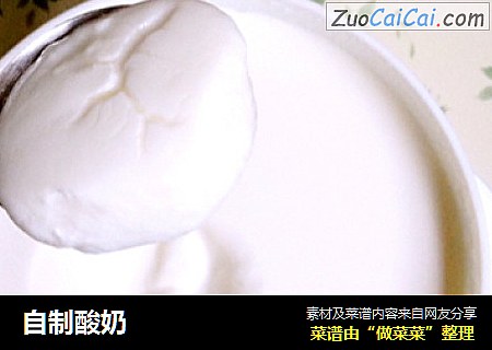 自制酸奶