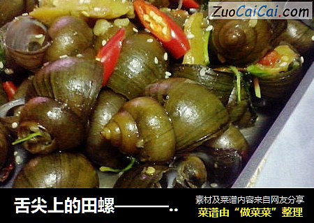 舌尖上的田螺———香辣田螺煲