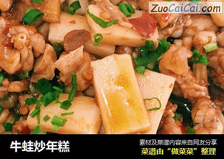牛蛙炒年糕