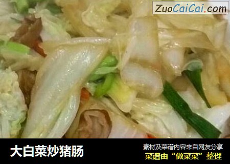 大白菜炒猪肠