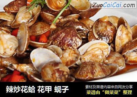 辣炒花蛤 花甲 蚬子