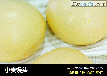 小麦馒头