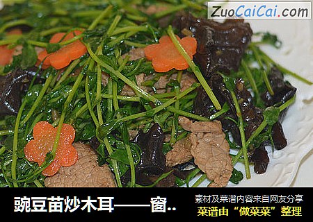 豌豆苗炒木耳——窗台上的小菜园系列
